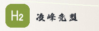 合作伙伴